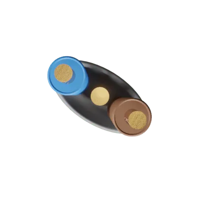 Securi-Flex SFX/6242Y-1.0-PVC-GRY-U-100 | Twin and Earth Cable 6242Y 1.0mm PVC Grey (100m)