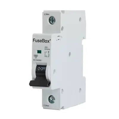 Read more on Fusebox MT06B101 | 10A 6kA Type B Single Pole MCB