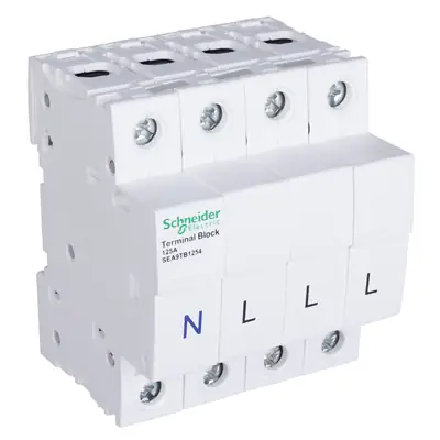 Read more on Schneider Electric SEA9TB1254 | Acti 9 125A 4 Pole Direct Connection Terminal Block