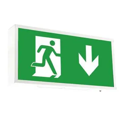 21105-2 Ansell AG8 L AD | Watchman Legend Emergency Exit Sign Arrow Down, White Steel Box