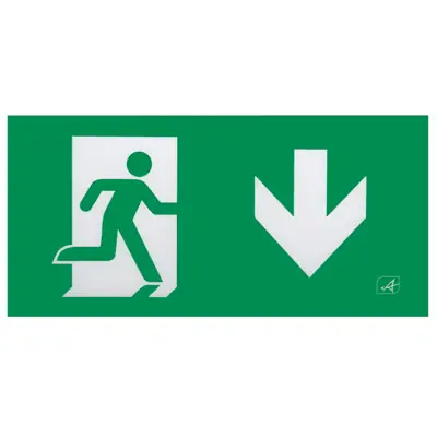 Read more on Ansell AG8 L AD | Watchman Legend Emergency Exit Sign Arrow Down, White Steel Box