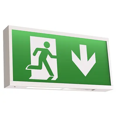 Read more on Ansell AWLED 3M | Watchman 3W 6000K IP20 LED Emergency Exit Sign Box & Legends Maintained / Non-Maintained, White Steel