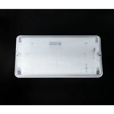 Read more on KSR KSR98130 | Emergency Bulkhead Navara Multi Wattage 6000K IP65 w/ Self-Test Emergency